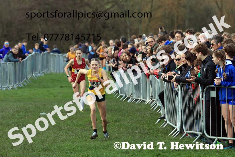Intermediate Girls 2024 English Schools Cross Country Champs., Pontefract, March 16th.  Photo: David T. Hewitson/Sports for All Pics